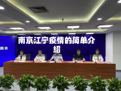 南京江宁疫情的简单介绍