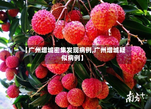 【广州增城密集发现病例,广州增城疑似病例】