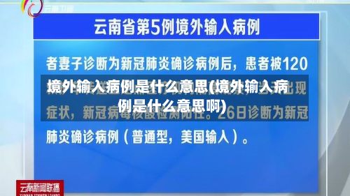 境外输入病例是什么意思(境外输入病例是什么意思啊)