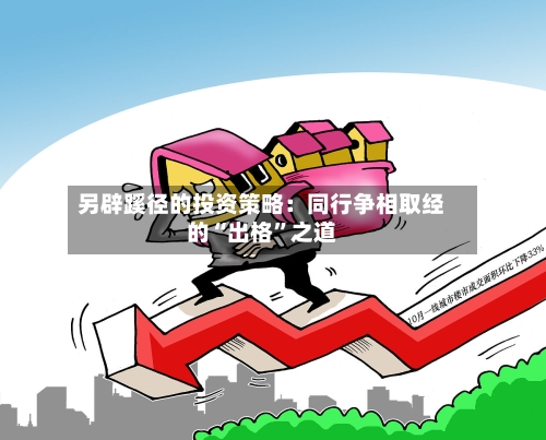 另辟蹊径的投资策略：同行争相取经的“出格”之道