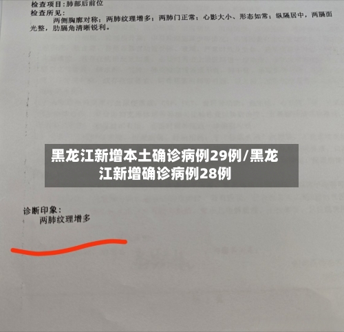 黑龙江新增本土确诊病例29例/黑龙江新增确诊病例28例