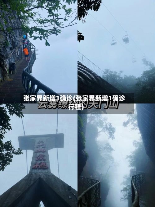 张家界新增1确诊(张家界新增1确诊行程)