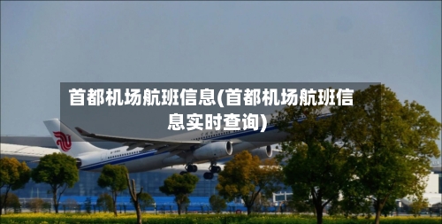 首都机场航班信息(首都机场航班信息实时查询)