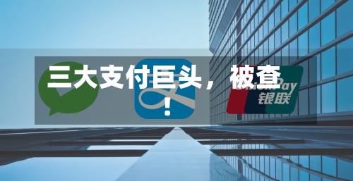 三大支付巨头，被查！