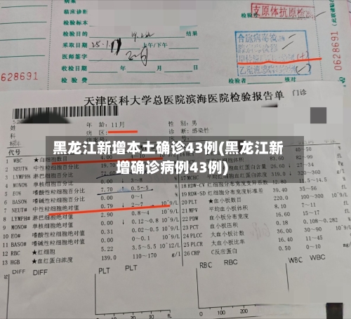 黑龙江新增本土确诊43例(黑龙江新增确诊病例43例)