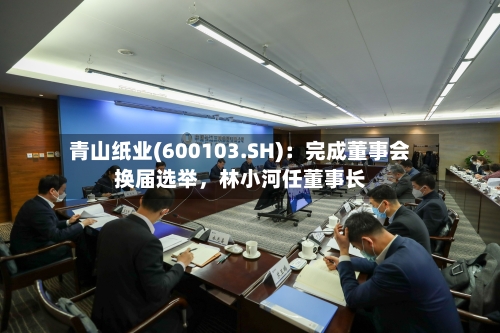 青山纸业(600103.SH)：完成董事会换届选举，林小河任董事长
