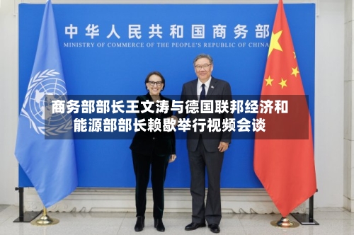 商务部部长王文涛与德国联邦经济和能源部部长赖歇举行视频会谈