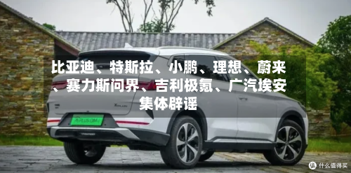 比亚迪、特斯拉、小鹏、理想、蔚来、赛力斯问界、吉利极氪、广汽埃安集体辟谣