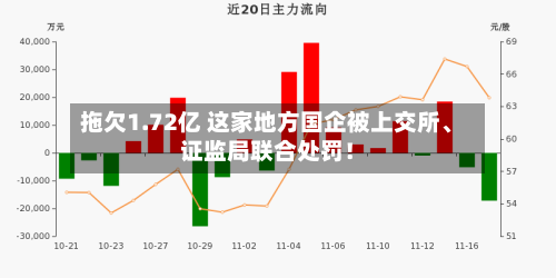 拖欠1.72亿 这家地方国企被上交所、证监局联合处罚！