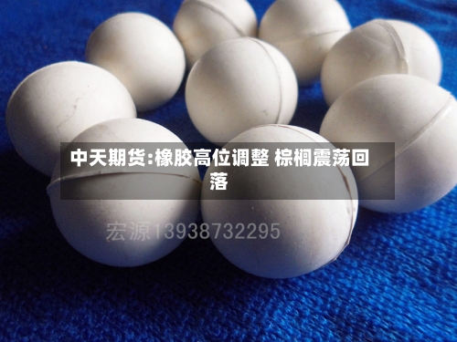 中天期货:橡胶高位调整 棕榈震荡回落