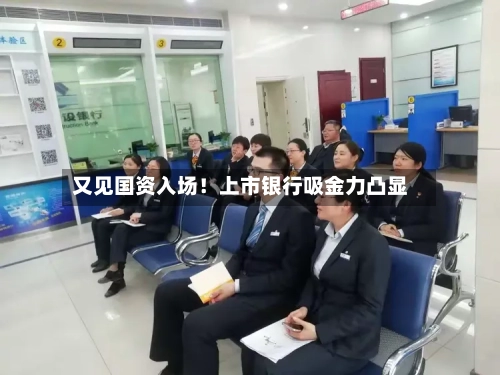 又见国资入场！上市银行吸金力凸显