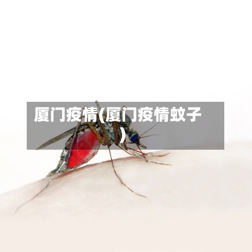 厦门疫情(厦门疫情蚊子)