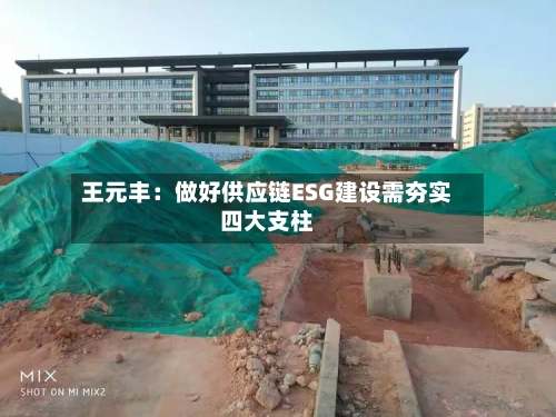 王元丰：做好供应链ESG建设需夯实四大支柱