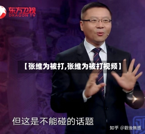 【张维为被打,张维为被打视频】