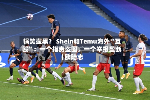 锅笑壶黑? Shein和Temu海外“互殴”:一个指责盗图,一个举报垄断 | 欧陆志