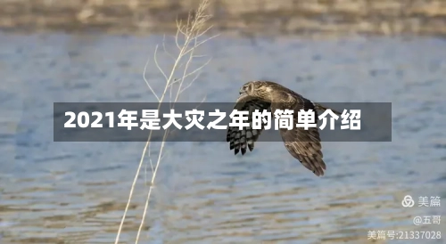 2021年是大灾之年的简单介绍