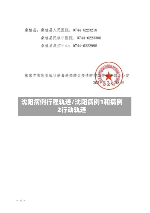 沈阳病例行程轨迹/沈阳病例1和病例2行动轨迹