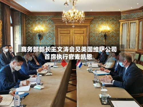 商务部部长王文涛会见美国维萨公司首席执行官麦凯恩