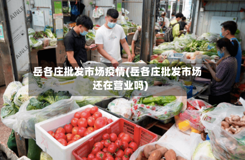 岳各庄批发市场疫情(岳各庄批发市场还在营业吗)